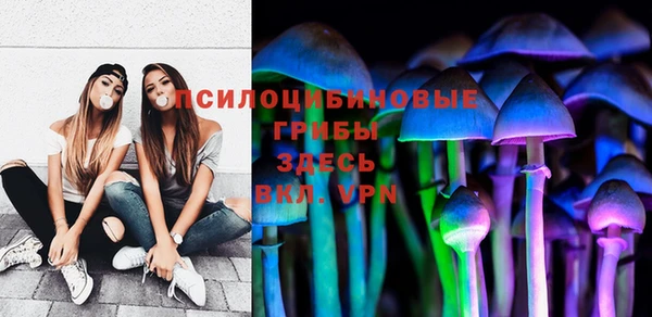 герыч Арсеньев