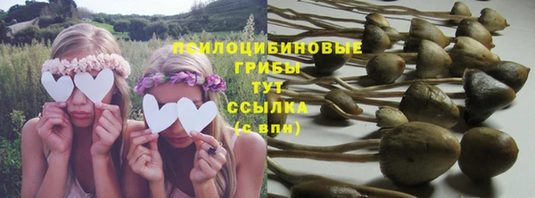 герыч Арсеньев