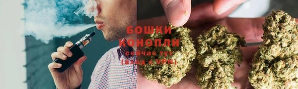 винт Осинники